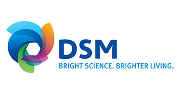 DSM-2